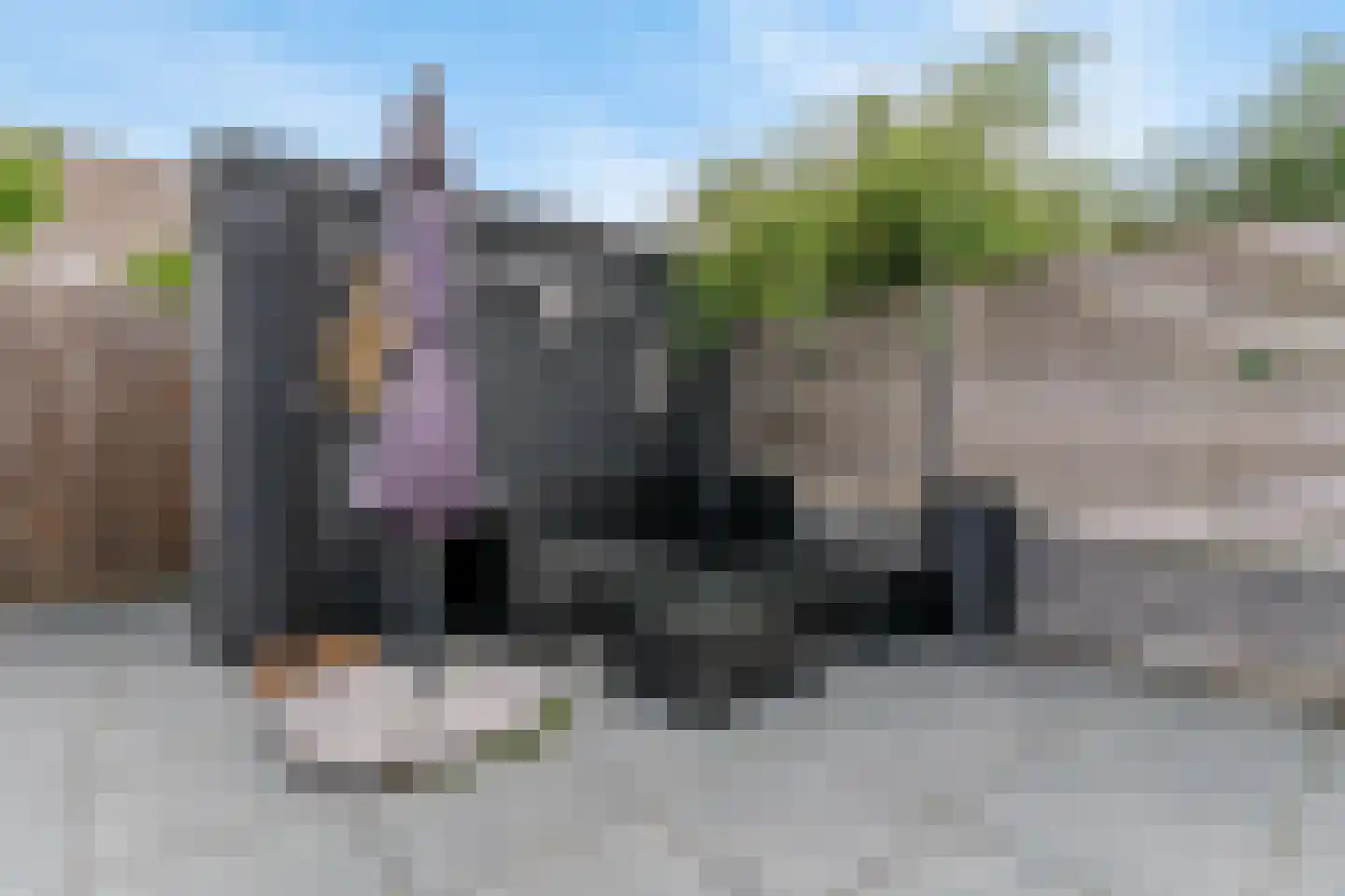 Wagenmaker 15 Leiderdorp thumbnail 35