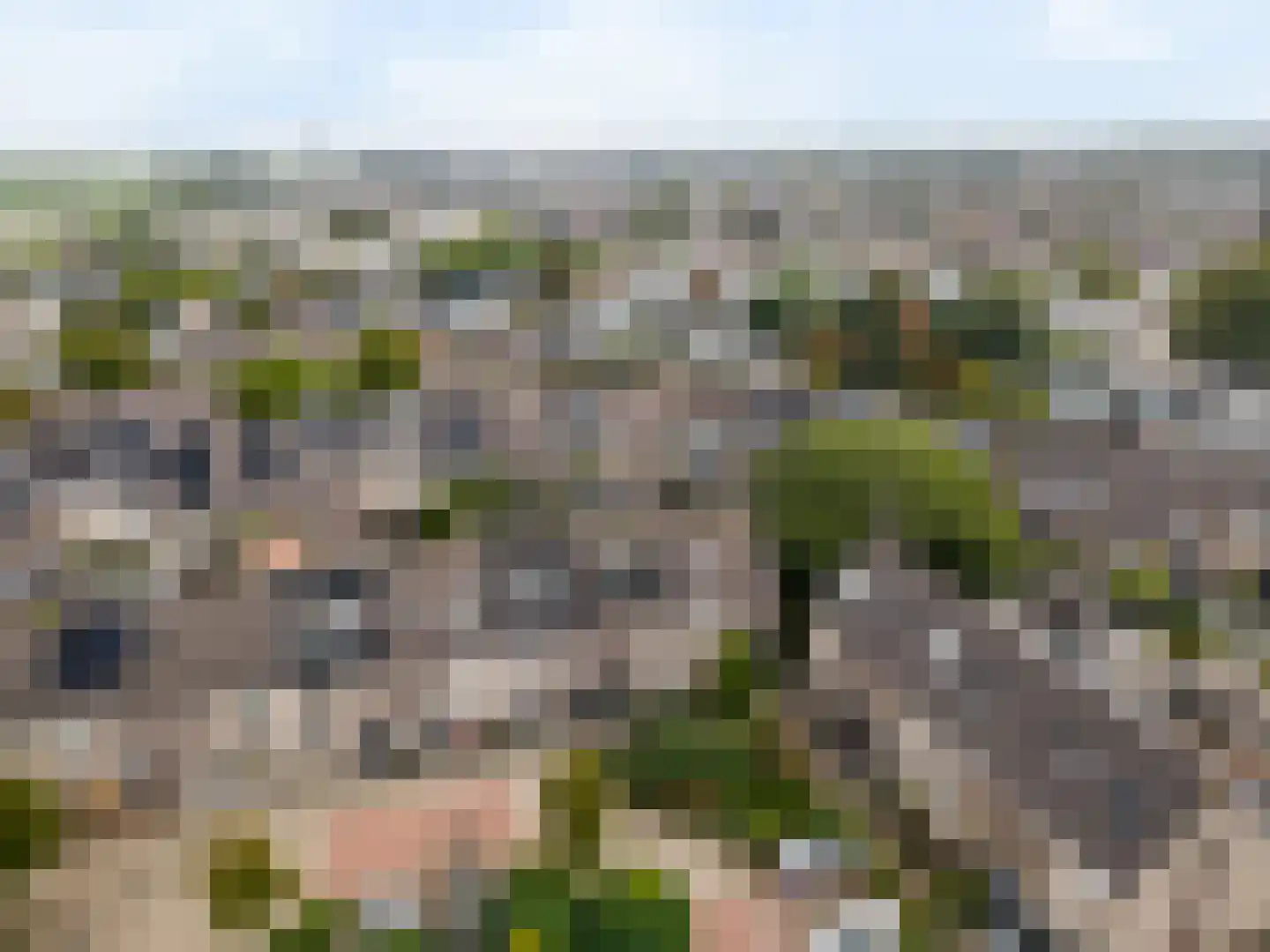 Wagenmaker 15 Leiderdorp thumbnail 38