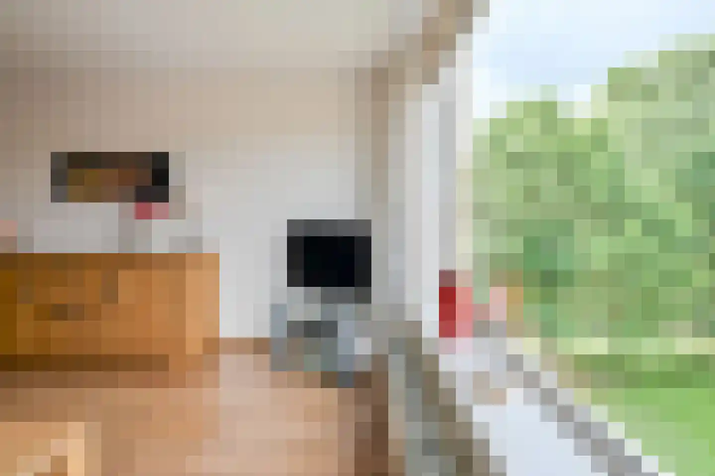 Wagenmaker 159 Wilnis thumbnail 8