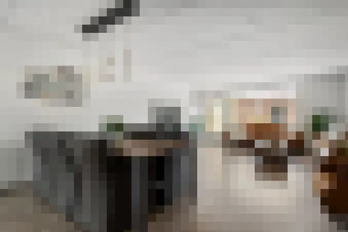 Wagenmaker 16 Rijssen thumbnail 10