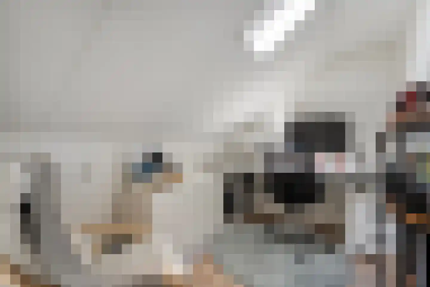 Wagenmaker 16 Rijssen thumbnail 32