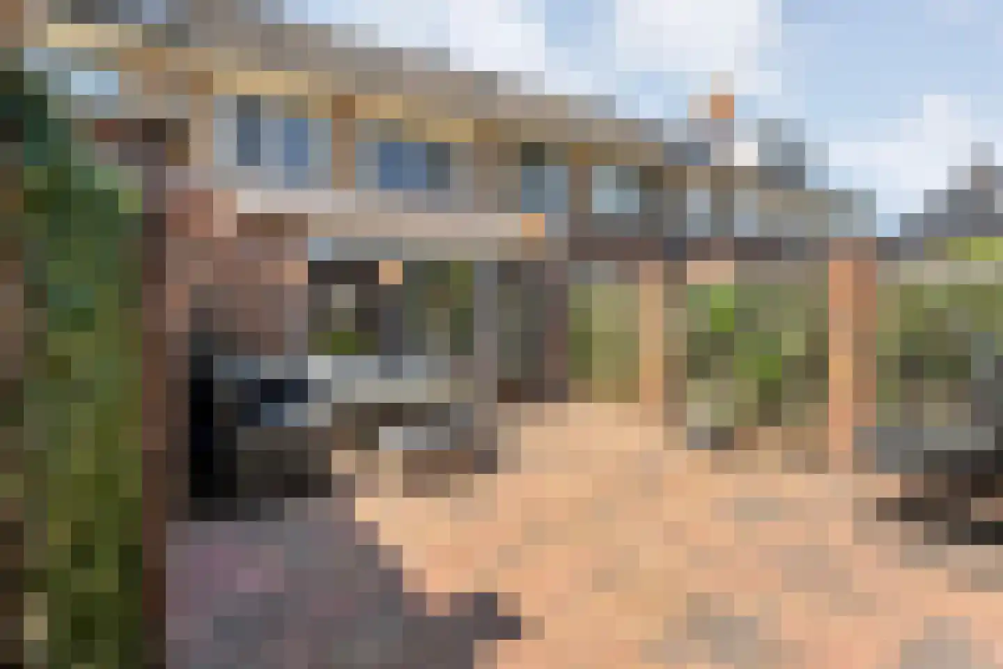 Wagenmaker 16 Rijssen thumbnail 37