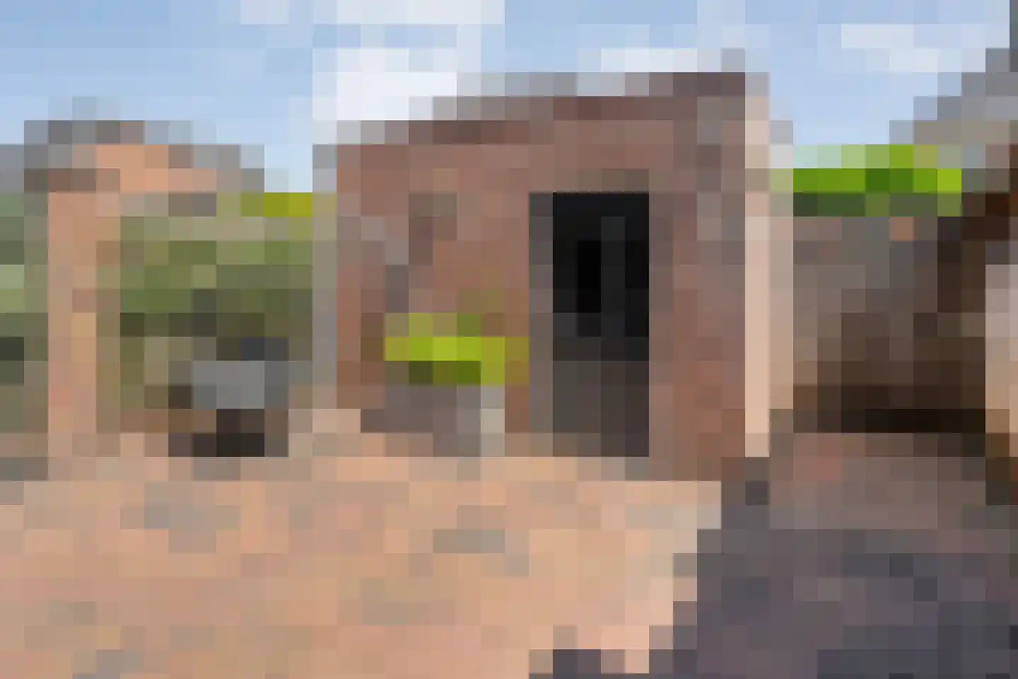 Wagenmaker 16 Rijssen thumbnail 38