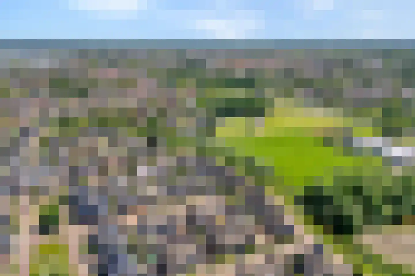 Wagenmaker 16 Rijssen thumbnail 39