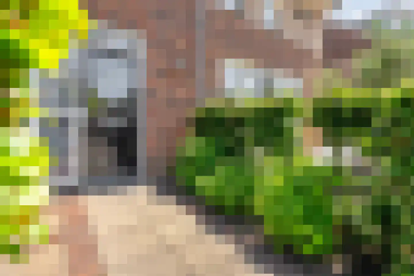 Wagenmaker 16 Rijssen thumbnail 7