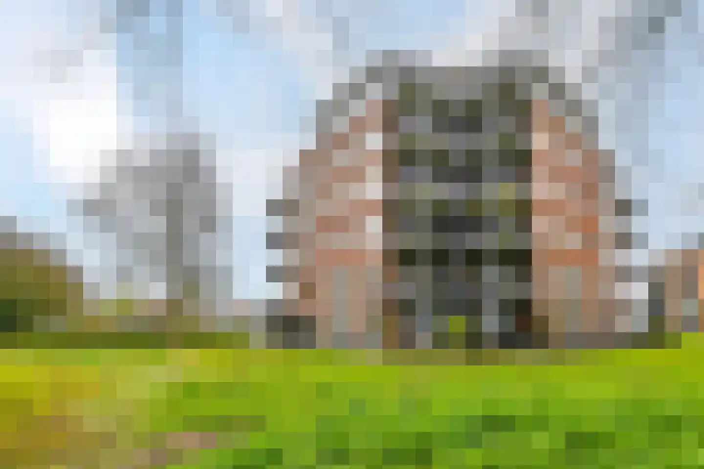 Wagenmaker 167 Wilnis thumbnail 31