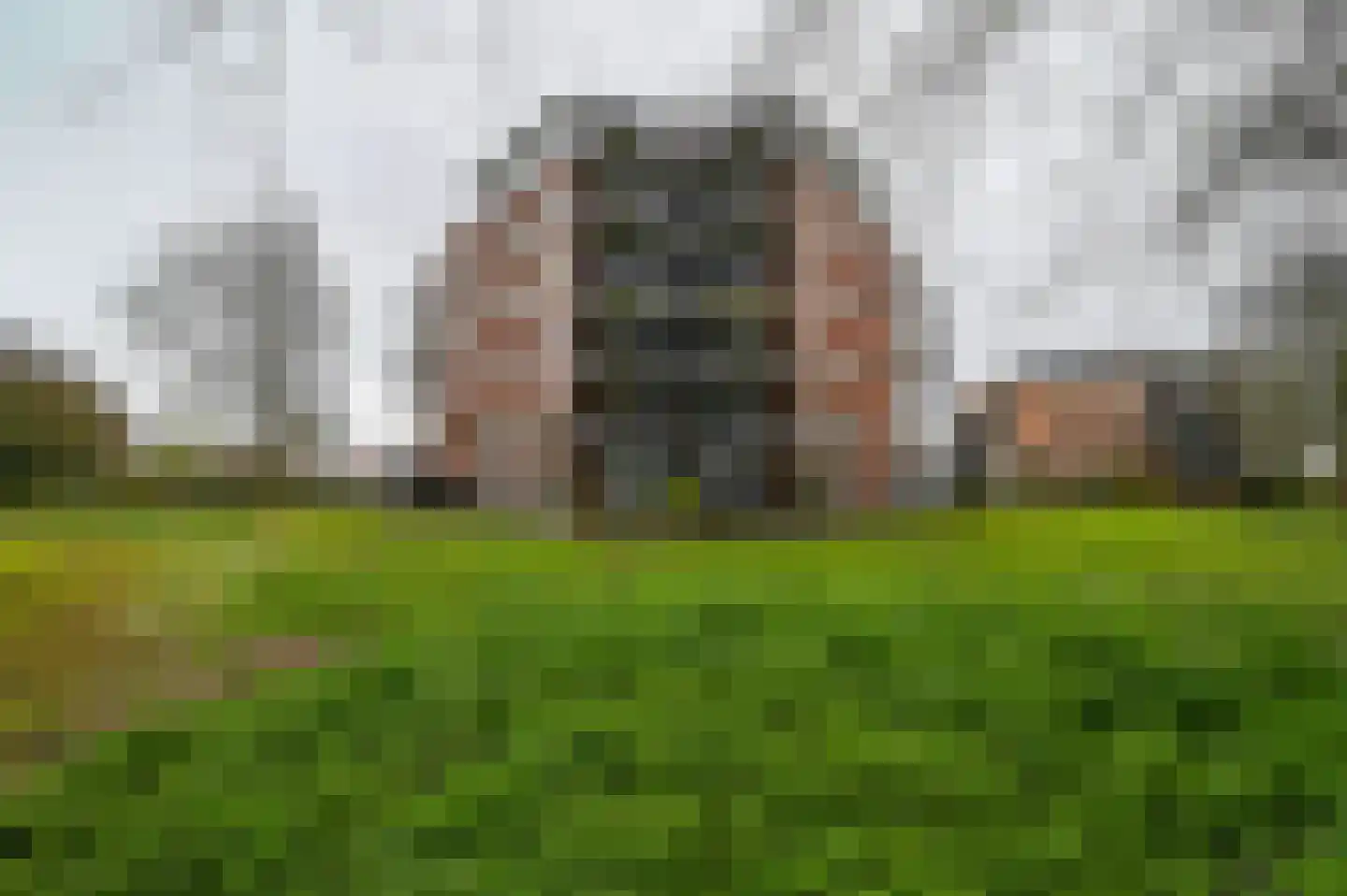 Wagenmaker 167 Wilnis thumbnail 34
