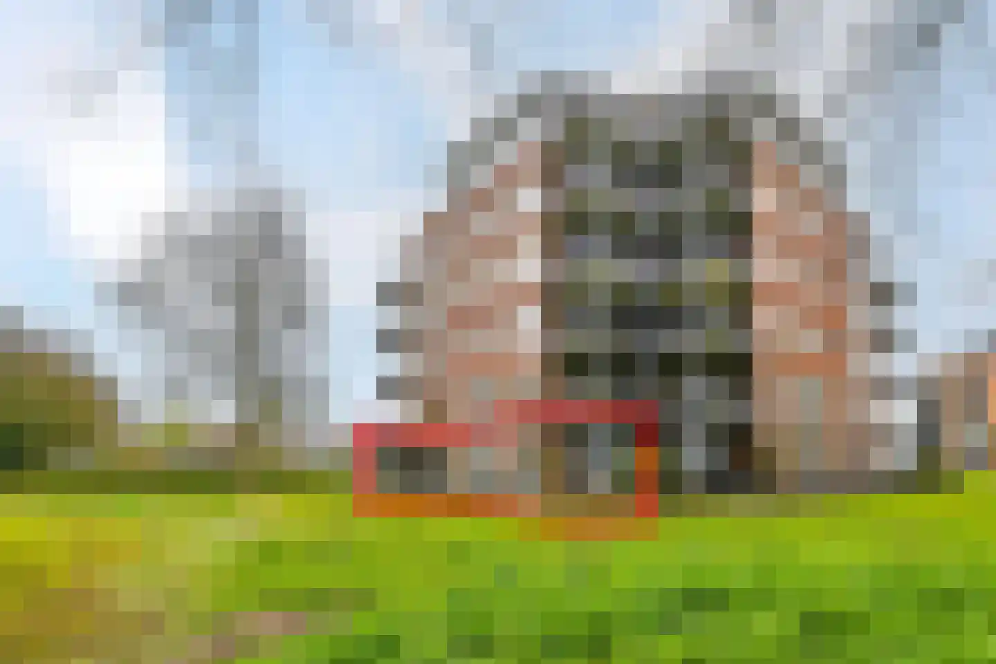 Wagenmaker 167 Wilnis thumbnail 41