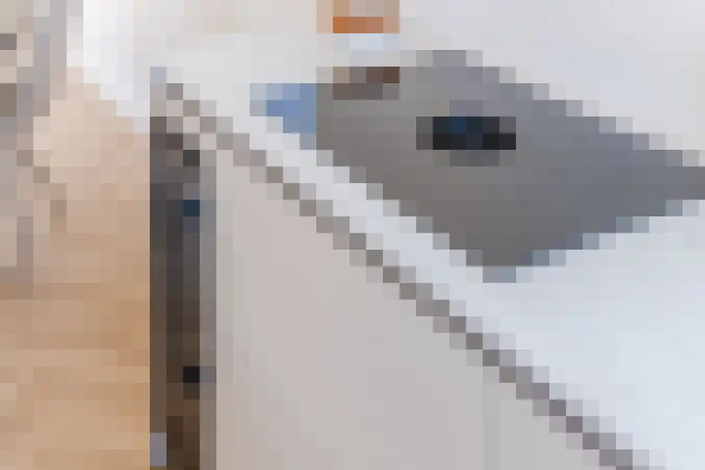 Wagenmaker 2 Hilvarenbeek thumbnail 14