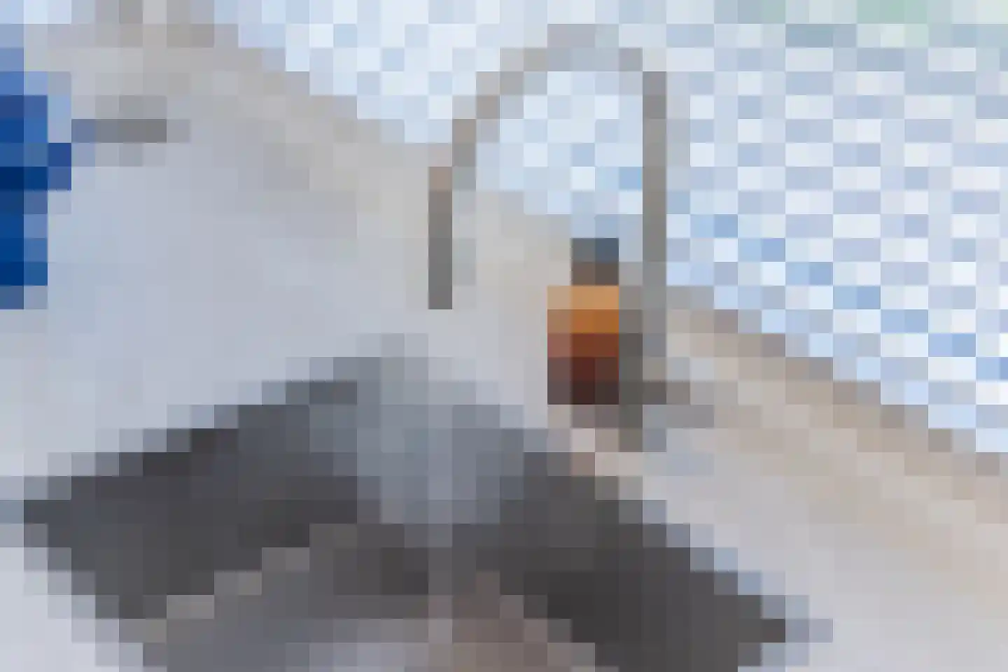 Wagenmaker 2 Hilvarenbeek thumbnail 16