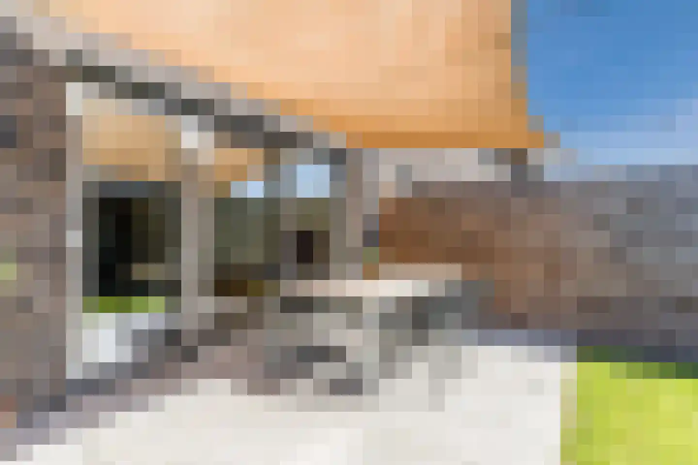 Wagenmaker 2 Hilvarenbeek thumbnail 34