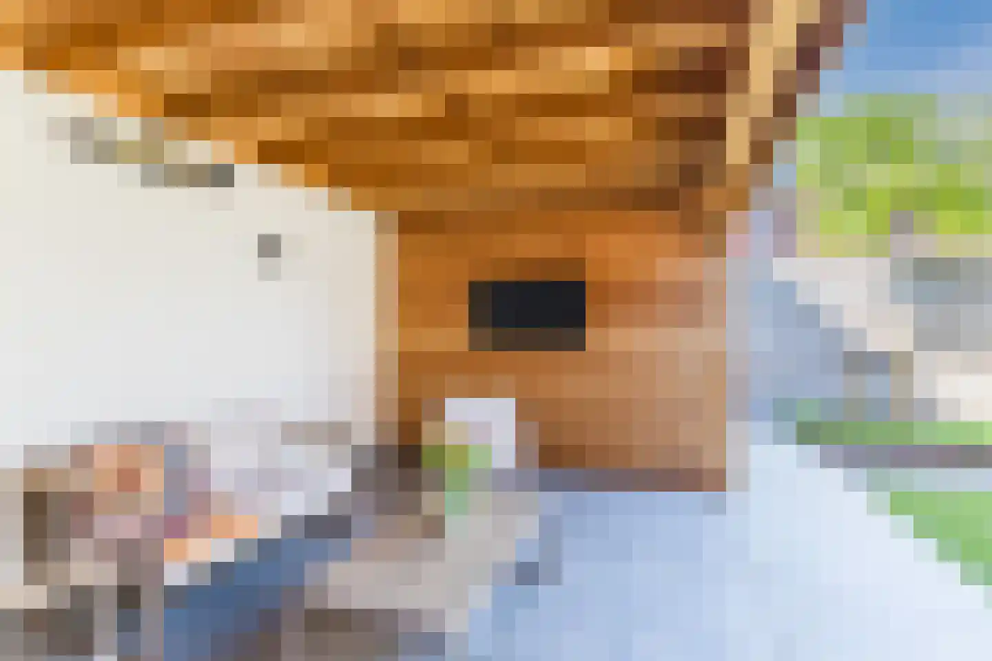 Wagenmaker 2 Hilvarenbeek thumbnail 36