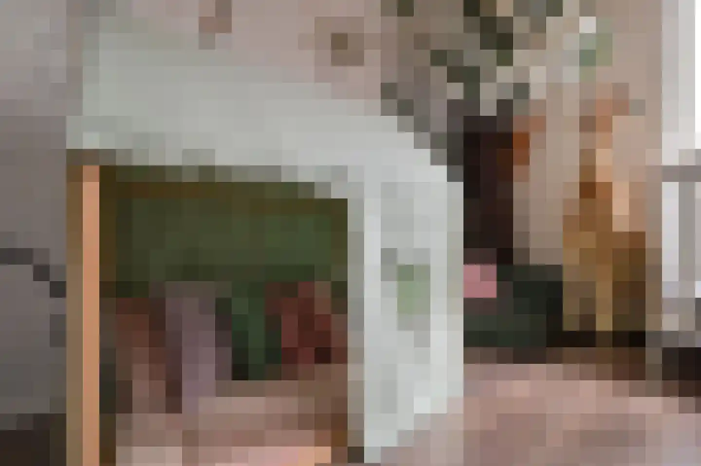 Wagenmaker 30 Wilnis thumbnail 20