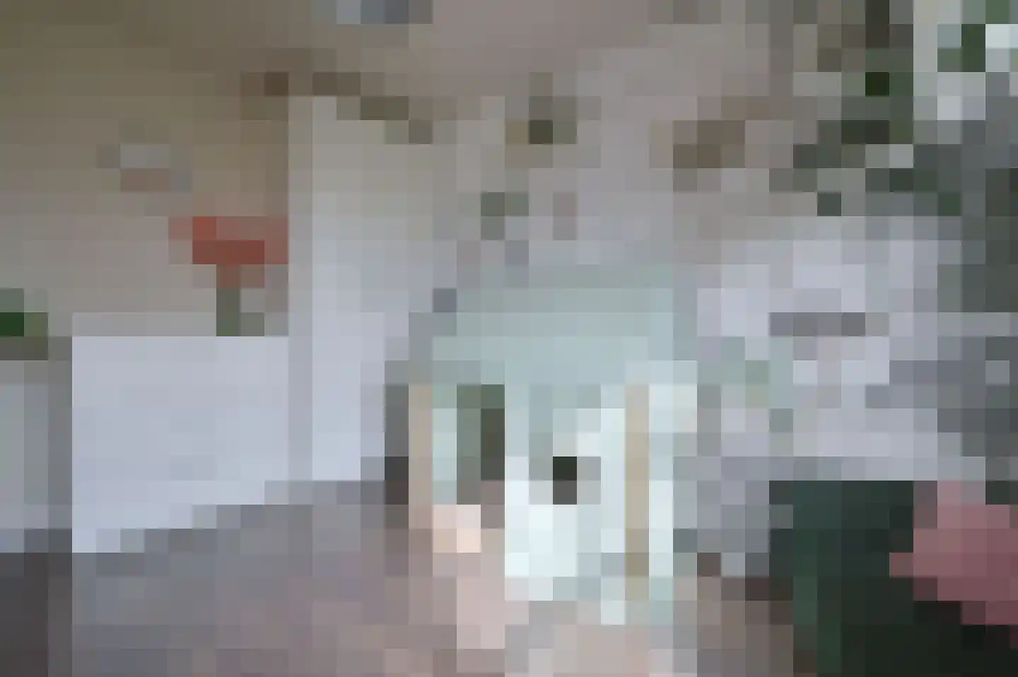 Wagenmaker 30 Wilnis thumbnail 21