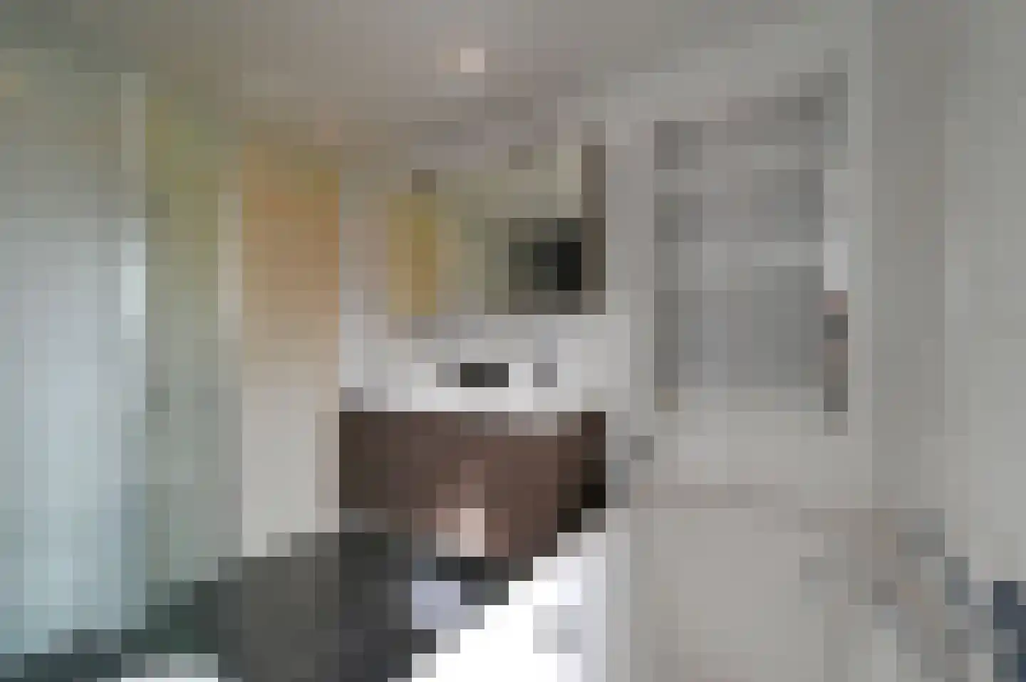 Wagenmaker 30 Wilnis thumbnail 25