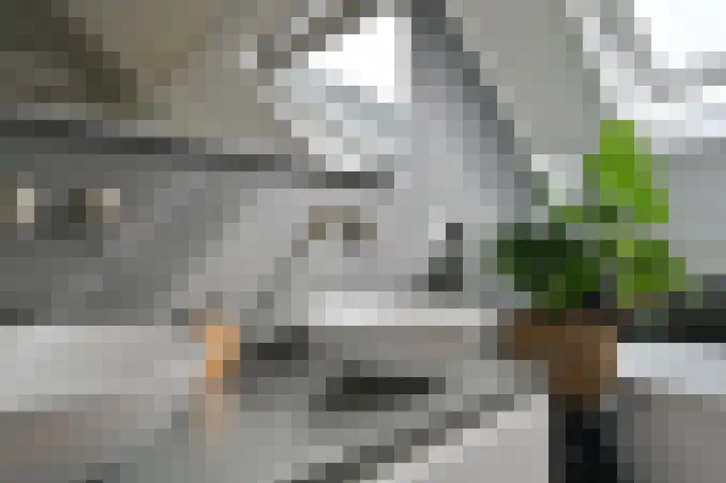 Wagenmaker 30 Wilnis thumbnail 34