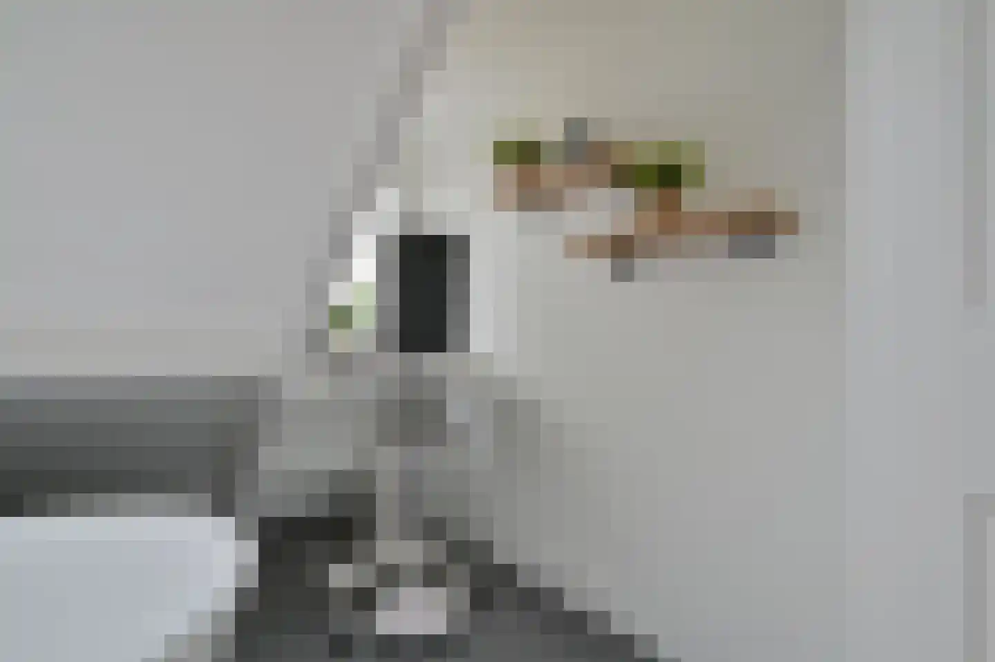 Wagenmaker 30 Wilnis thumbnail 36