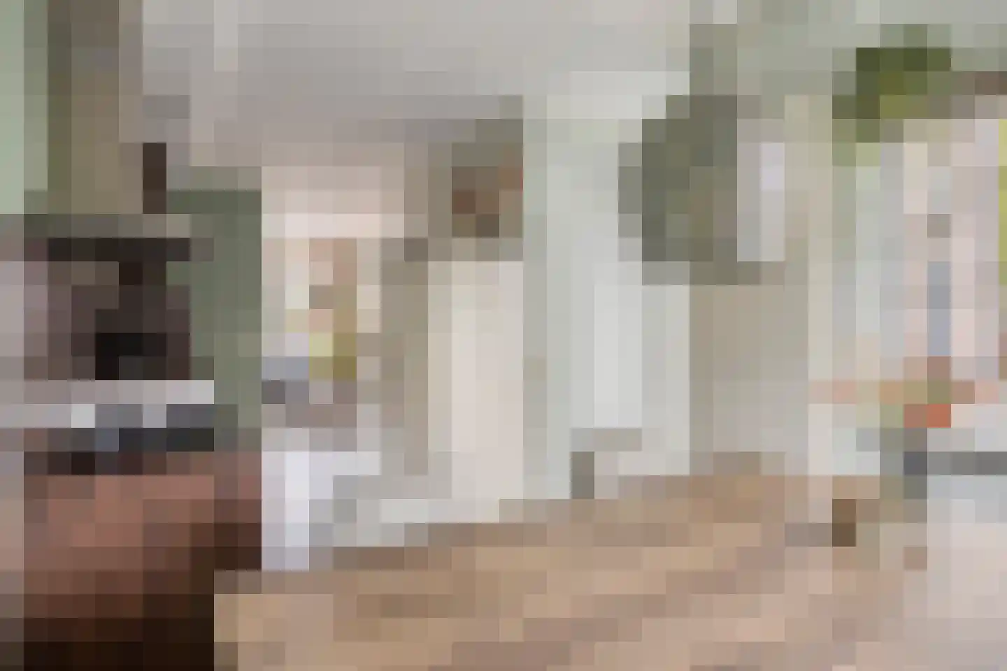 Wagenmaker 31 Best thumbnail 16