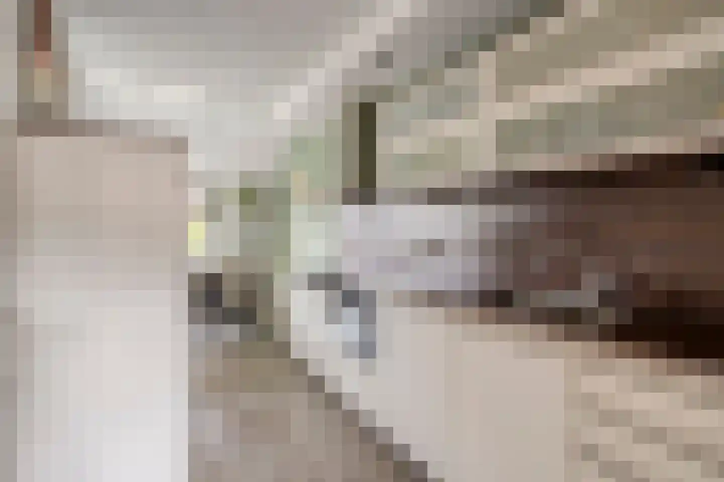 Wagenmaker 31 Best thumbnail 18