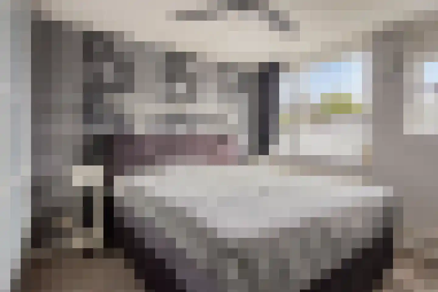 Wagenmaker 31 Best thumbnail 22