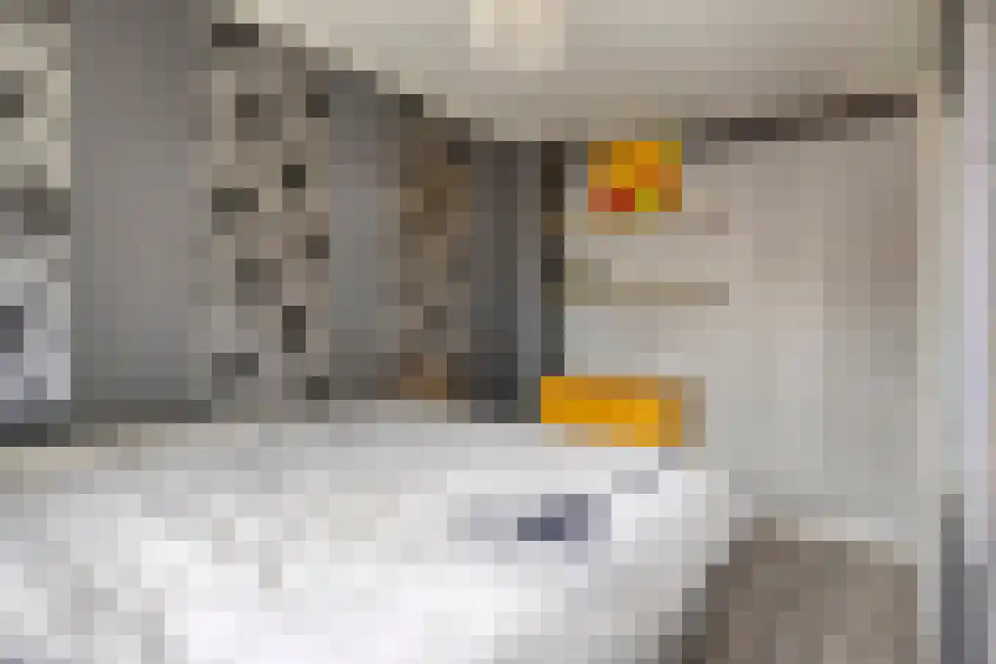 Wagenmaker 31 Best thumbnail 25