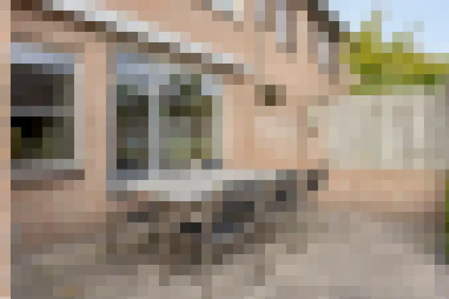 Wagenmaker 31 Best thumbnail 37