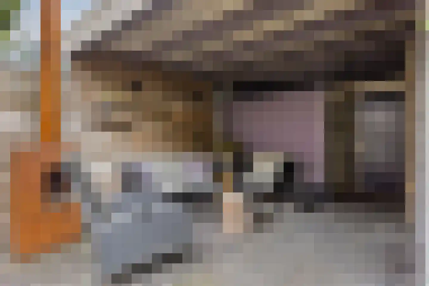 Wagenmaker 31 Best thumbnail 38