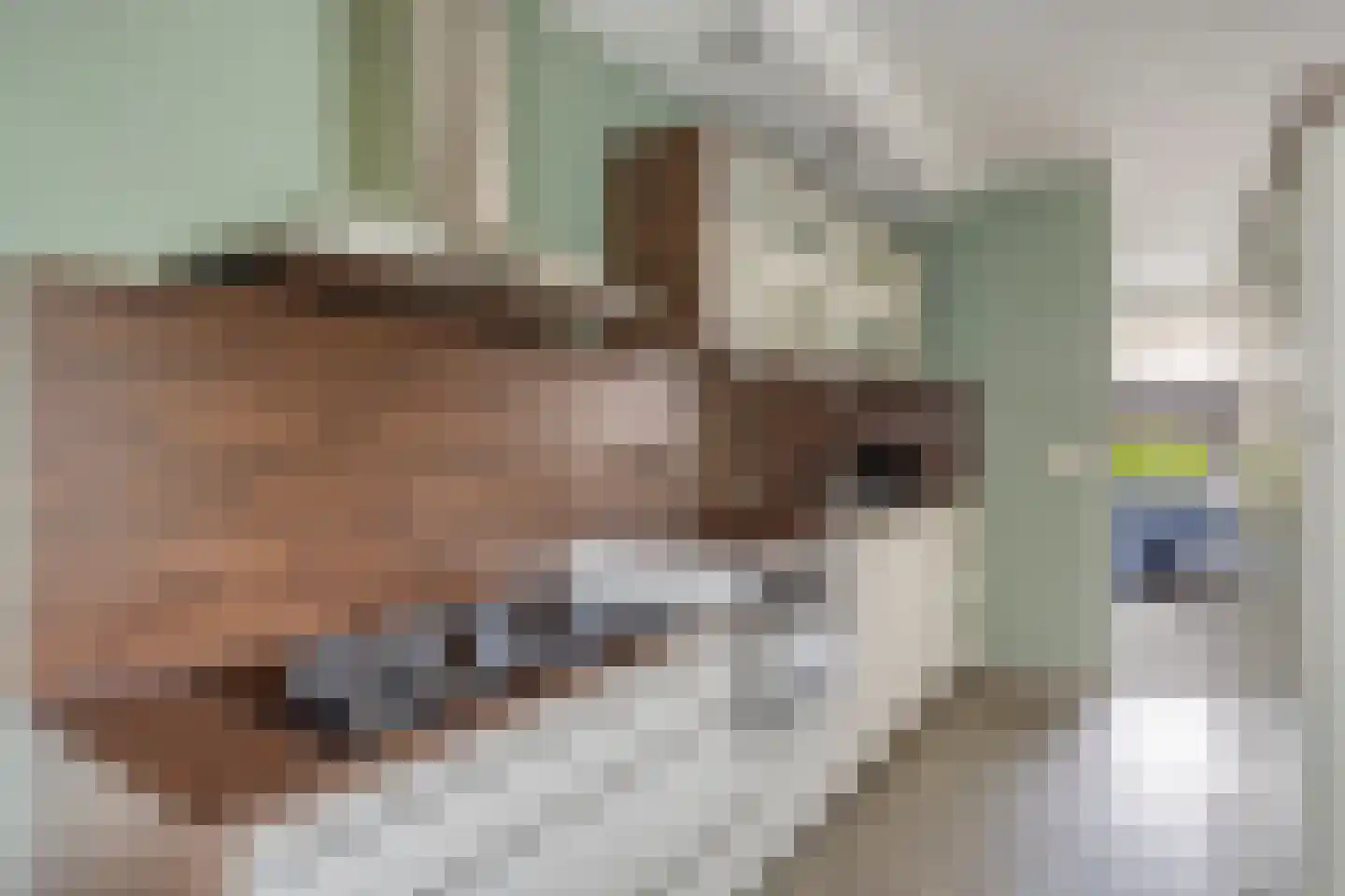 Wagenmaker 31 Best thumbnail 4