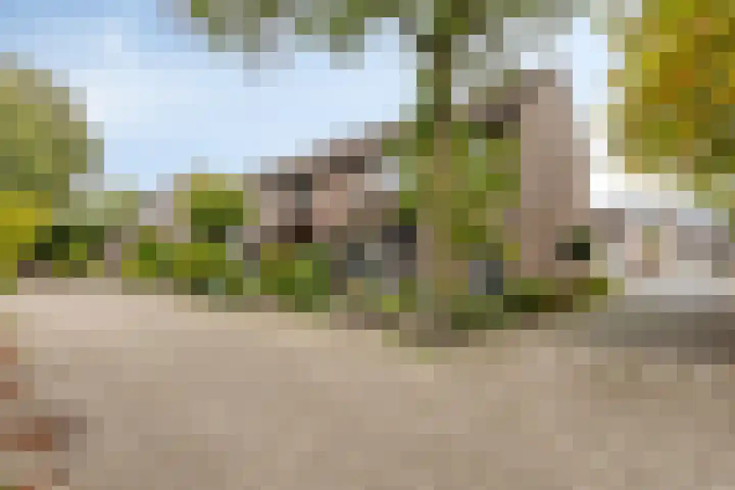Wagenmaker 31 Best thumbnail 7