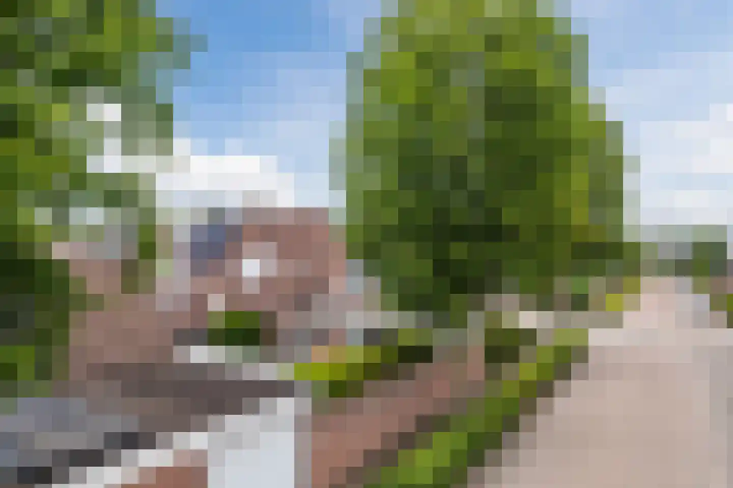 Wagenmaker 32 Oost West en Middelbeers thumbnail 38