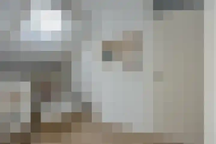 Wagenmaker 37 Best thumbnail 17