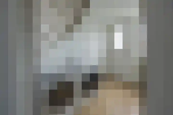 Wagenmaker 37 Best thumbnail 21