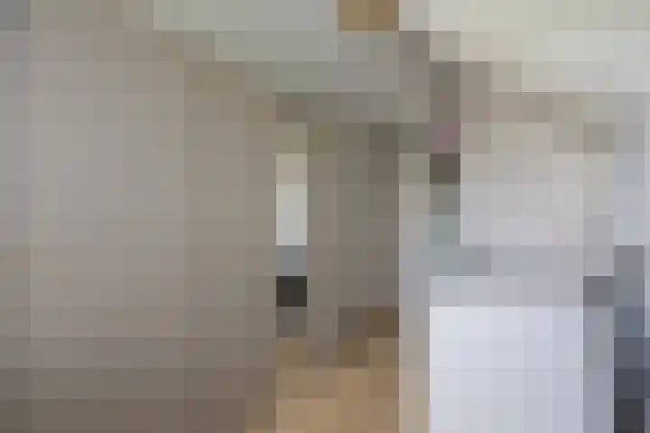 Wagenmaker 37 Best thumbnail 22