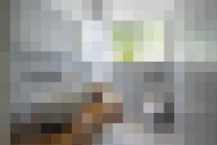 Wagenmaker 37 Best thumbnail 23