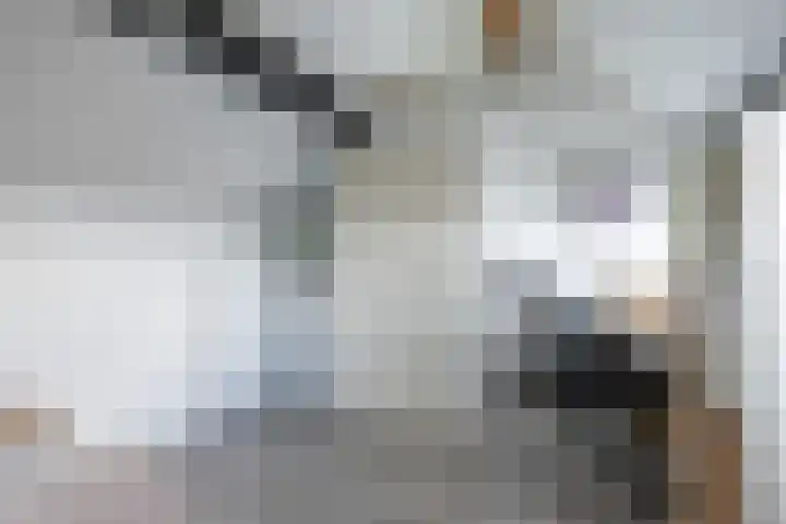 Wagenmaker 37 Best thumbnail 27