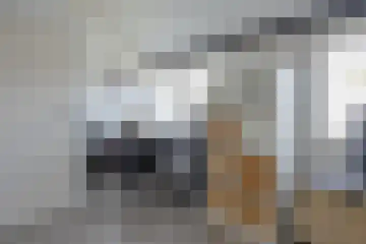 Wagenmaker 37 Best thumbnail 28