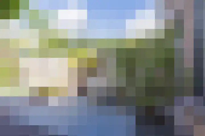 Wagenmaker 37 Best thumbnail 30