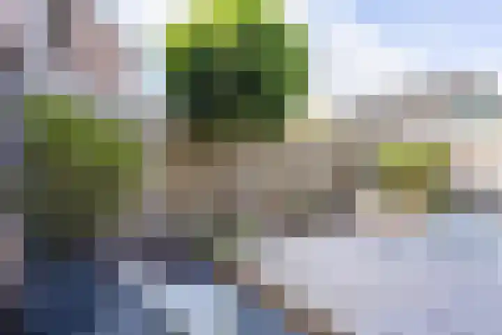Wagenmaker 37 Best thumbnail 31