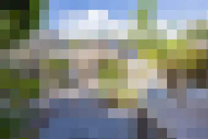 Wagenmaker 37 Best thumbnail 32