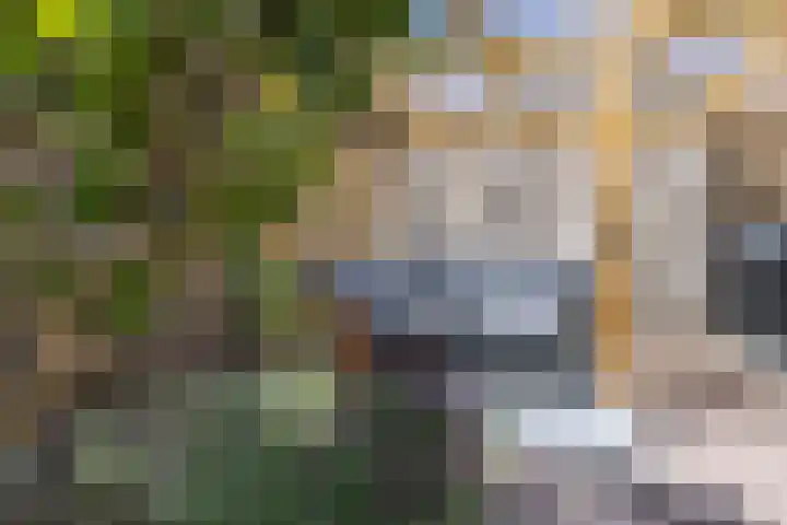 Wagenmaker 37 Best thumbnail 35