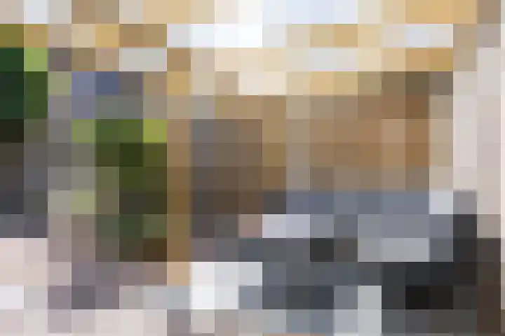 Wagenmaker 37 Best thumbnail 36