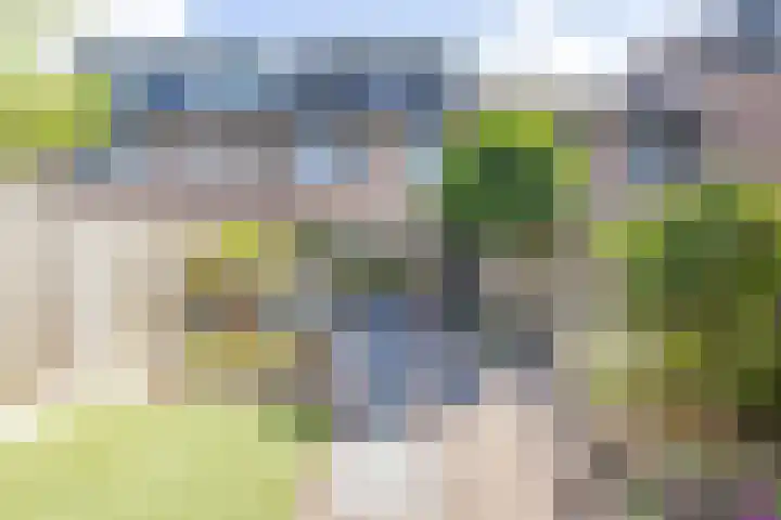Wagenmaker 37 Best thumbnail 37