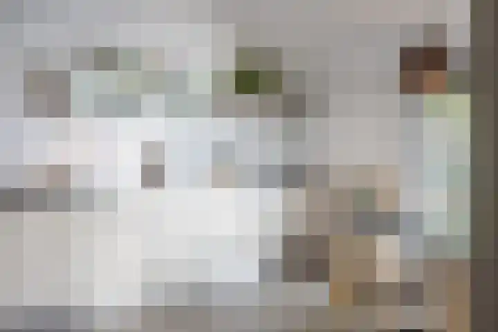 Wagenmaker 37 Best thumbnail 4