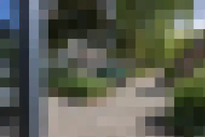Wagenmaker 37 Best thumbnail 41