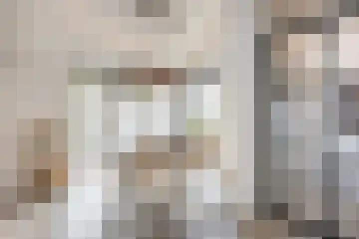 Wagenmaker 37 Best thumbnail 5