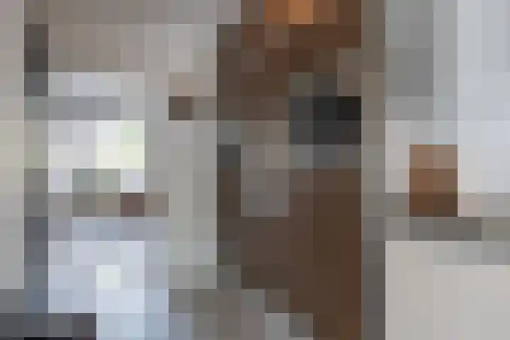 Wagenmaker 37 Best thumbnail 8