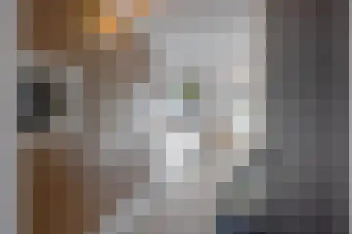 Wagenmaker 37 Best thumbnail 9