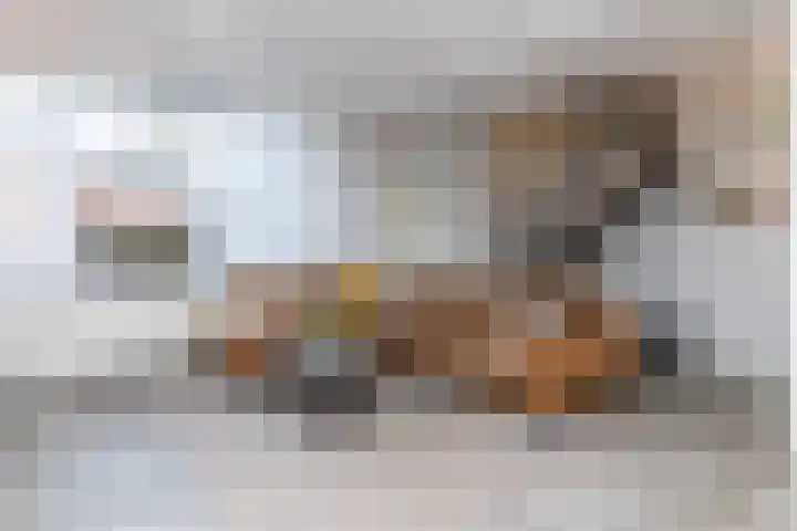 Wagenmaker 4 Brunssum thumbnail 5