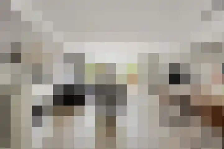 Wagenmaker 4 Rijssen thumbnail 11