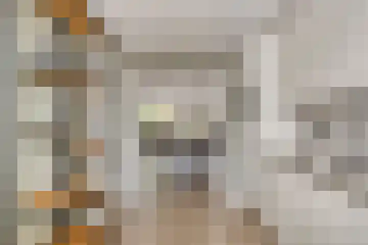 Wagenmaker 4 Rijssen thumbnail 19